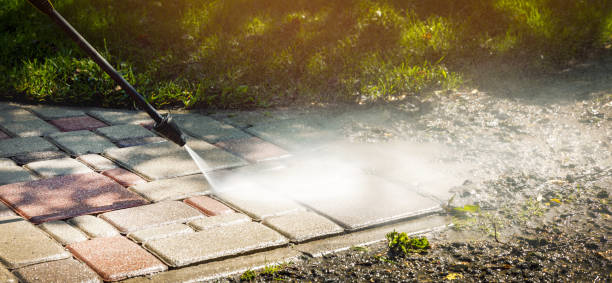 Best Driveway Cleaning and Restoration in Pennington Gap, VA